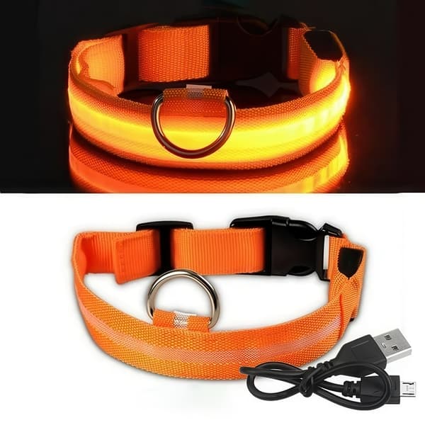 LED-halsband för hund – Uppladdningsbart reflekterande säkerhetshalsband LED-halsband för hund – Uppladdningsbart reflekterande säkerhetshalsband